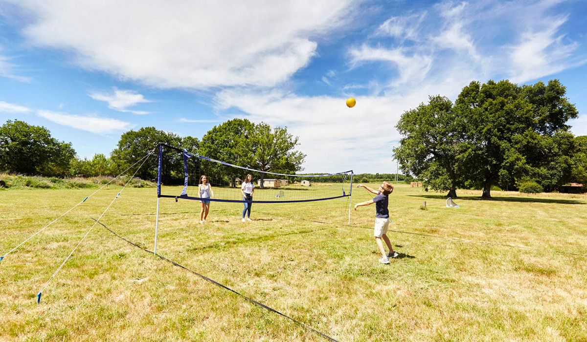Domaine de l’Oiselière Das Loire-Gebiet - Chauché visuel 8/20