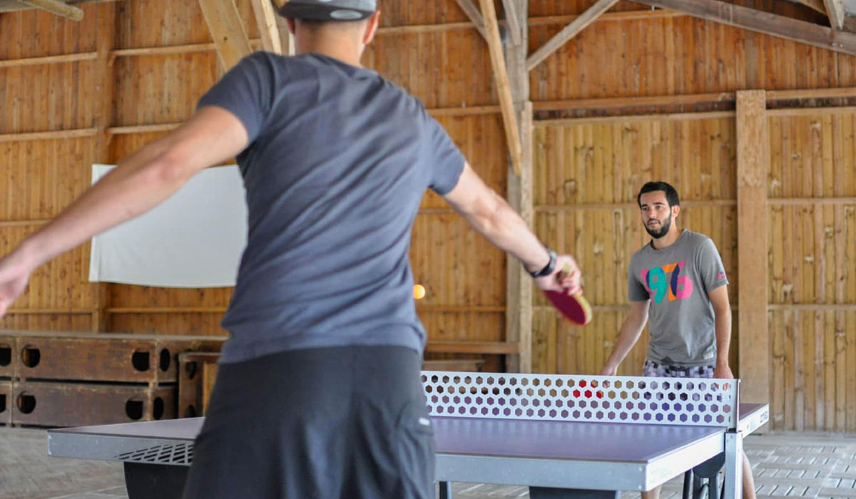 Domaine de l’Oiselière Das Loire-Gebiet - Chauché visuel 9/20