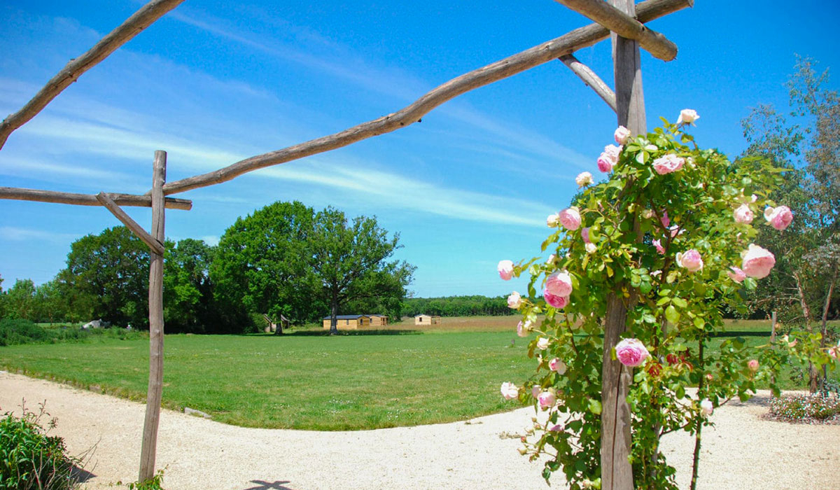 Domaine de l’Oiselière Das Loire-Gebiet - Chauché visuel 14/20