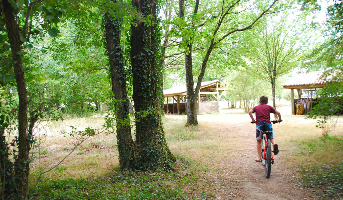 Domaine de l’Oiselière Das Loire-Gebiet - Chauché visuel 12/20