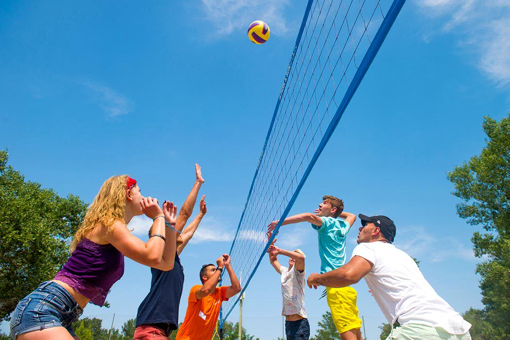 Domaine des Iscles Provence-Alpes-Côte d'Azur - La Roque-d'Anthéron visuel 7/11