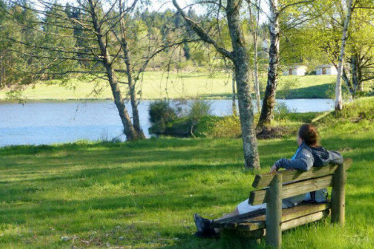 Domaine du Balbuzard Auvergne - Condat-en-Combraille visuel 3/7 Domaine du Balbuzard Auvergne - Condat-en-Combraille visuel 3/7