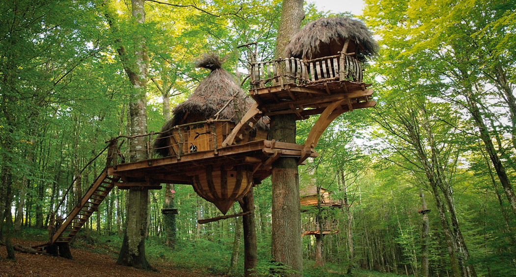 Domaine l'Arbre à Cabane Champagner-Ardennen - Guyonvelle visuel 1/3 Domaine l'Arbre à Cabane Champagner-Ardennen - Guyonvelle visuel 1/3