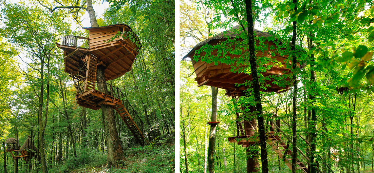 Domaine l'Arbre à Cabane Champagner-Ardennen - Guyonvelle visuel 3/3 Domaine l'Arbre à Cabane Champagner-Ardennen - Guyonvelle visuel 3/3