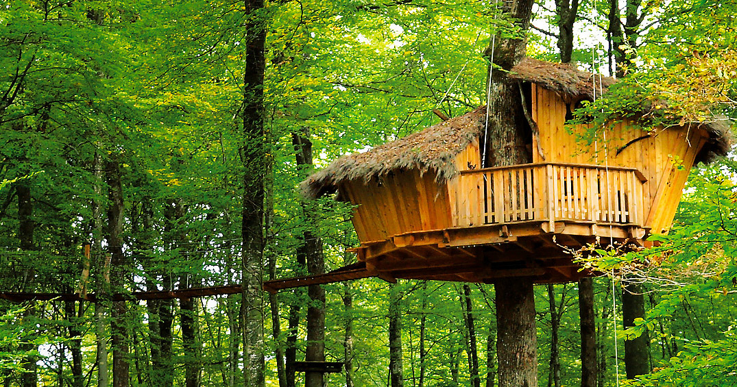 Domaine l'Arbre à Cabane Champagner-Ardennen - Guyonvelle visuel 2/3 Domaine l'Arbre à Cabane Champagner-Ardennen - Guyonvelle visuel 2/3