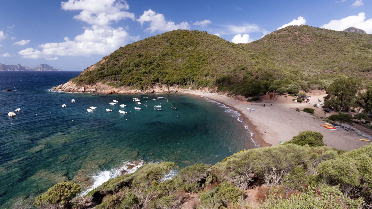 E Gradelle Korsika - Osani visuel 1/1