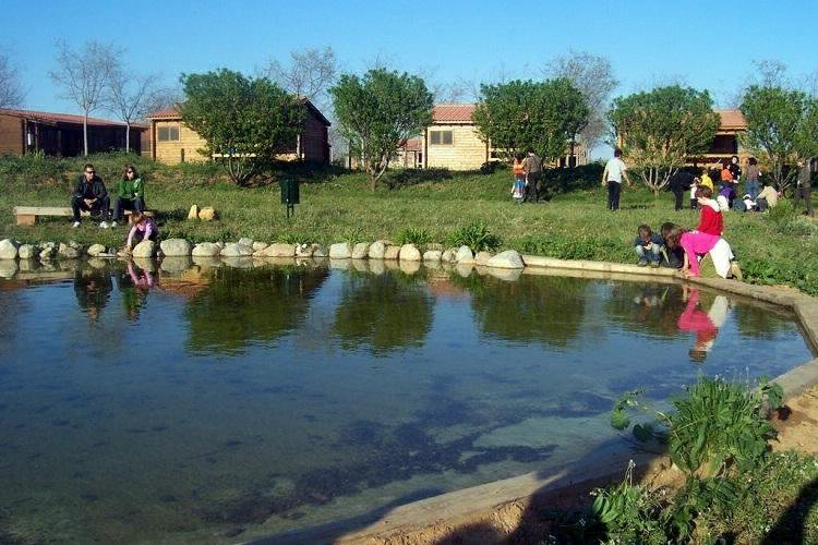 Ecocamp Vinyols Katalonien - Vinyols i els Arcs visuel 4/9