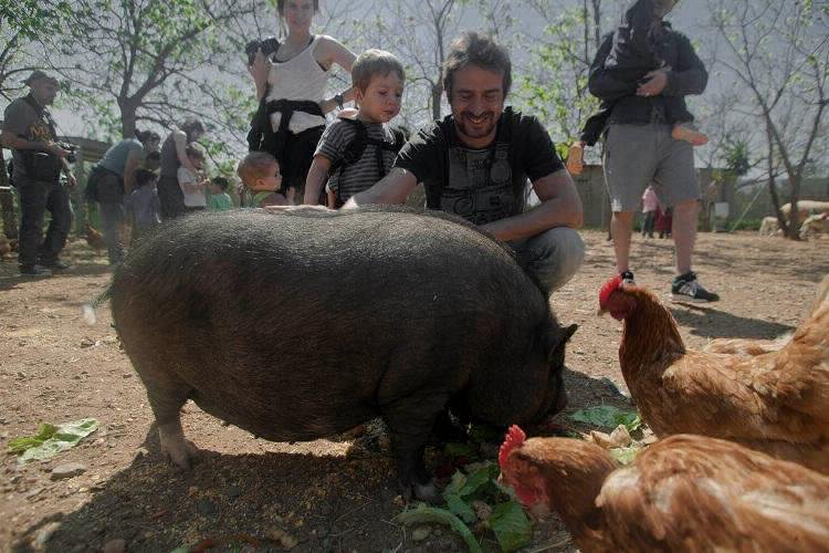 Ecocamp Vinyols Katalonien - Vinyols i els Arcs visuel 6/9