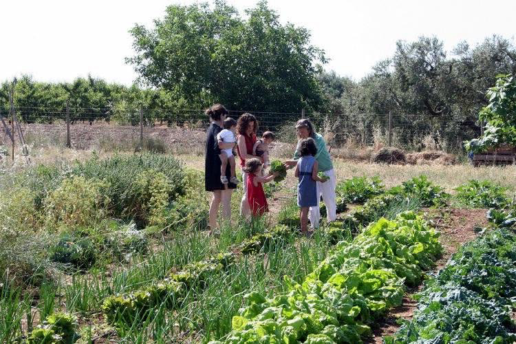 Ecocamp Vinyols Katalonien - Vinyols i els Arcs visuel 3/9