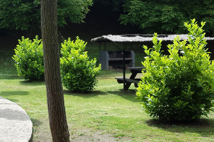 Ecologic Lava Katalonien - Olot visuel 2/10 Ecologic Lava Katalonien - Olot visuel 2/10