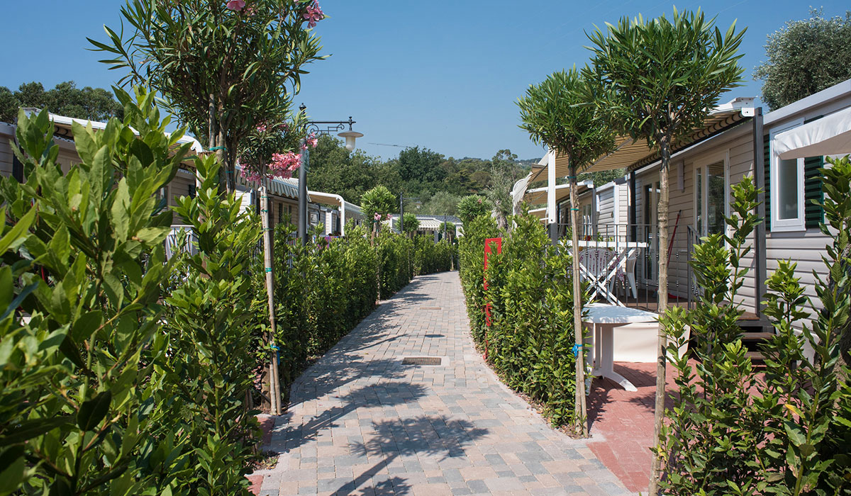 Edy Ligurien - Diano Marina visuel 3/3 Edy Ligurien - Diano Marina visuel 3/3