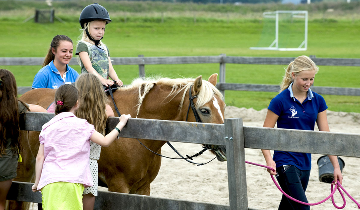 Eiland van Maurik Gelderland - maurik visuel 7/7