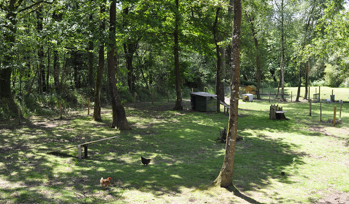 Entre Terre et Mer Bretagne - Pont Scorff visuel 7/15
