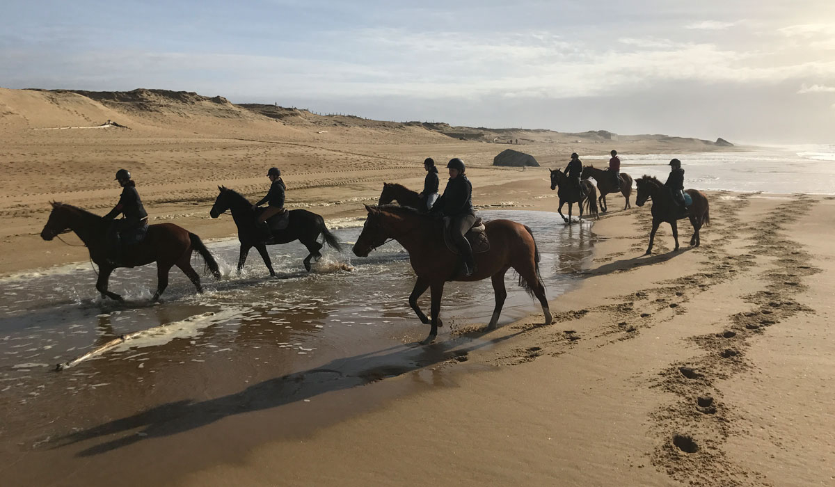 Espace Blue Océan Aquitanien - Ondres visuel 14/30