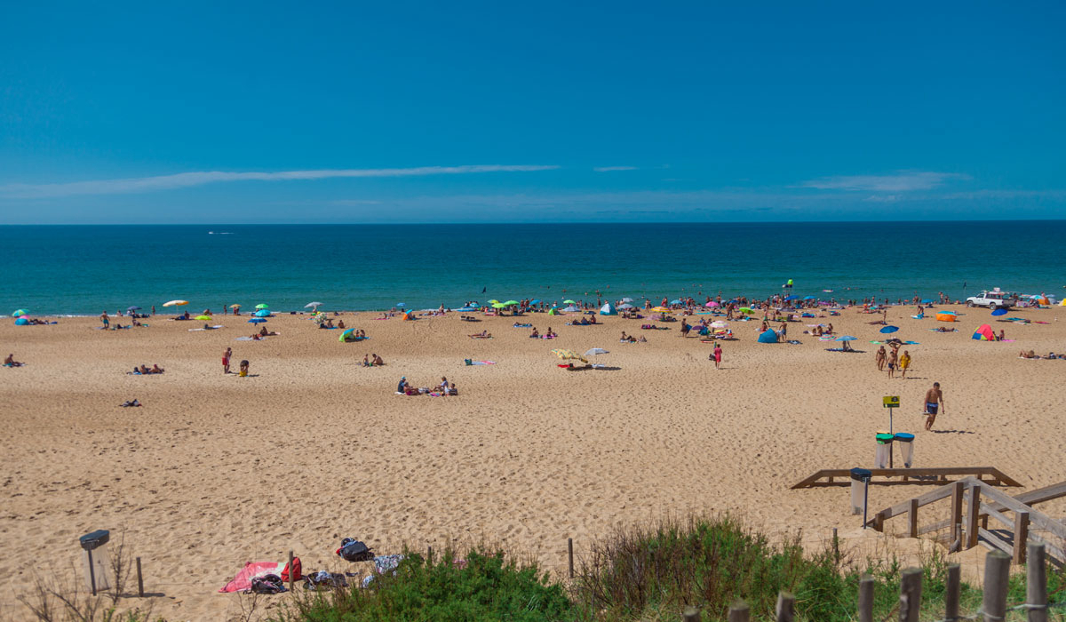 Espace Blue Océan Aquitanien - Ondres visuel 8/30