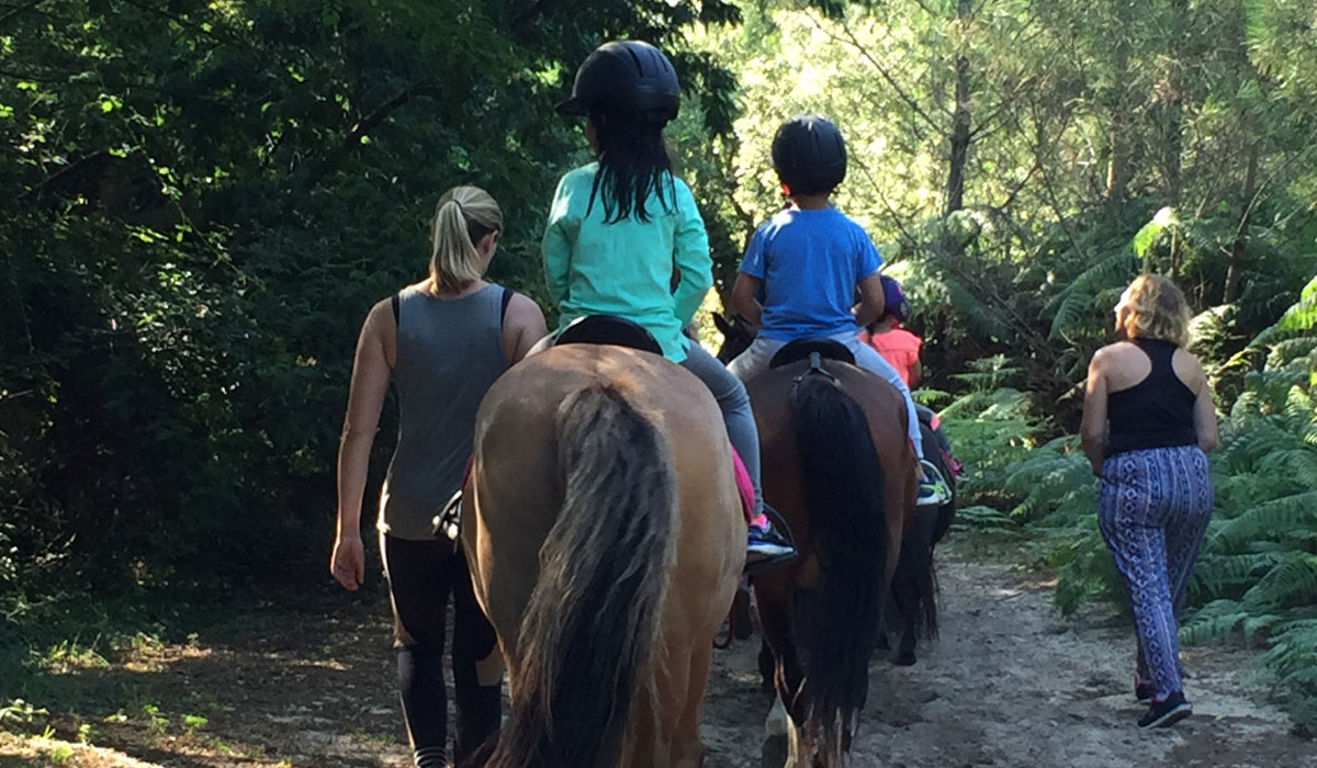 Espace Blue Océan Aquitanien - Ondres visuel 12/30