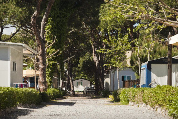 Estrella de Mar Katalonien - Castelldefels visuel 4/5