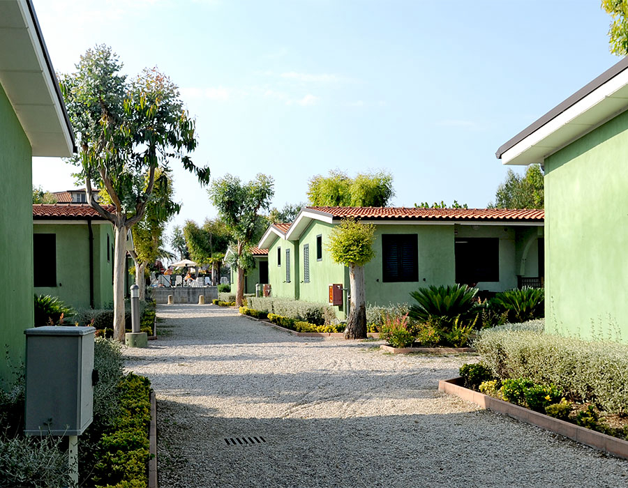 Eucaliptus Abruzzen - Alba Adriatica visuel 3/3