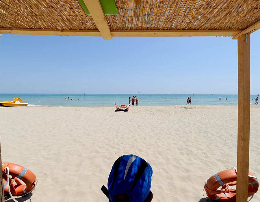 Eucaliptus Abruzzen - Alba Adriatica visuel 2/3