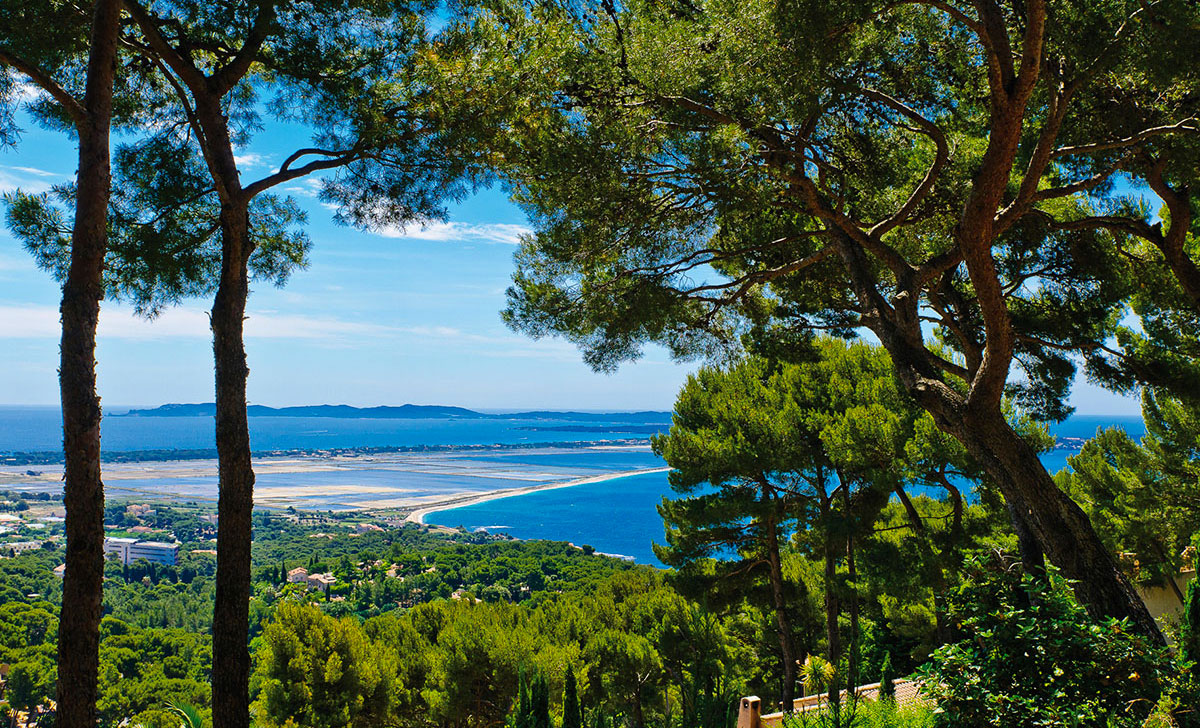 Eurosurf Provence-Alpes-Côte d'Azur - Hyères visuel 4/10 Eurosurf Provence-Alpes-Côte d'Azur - Hyères visuel 4/10