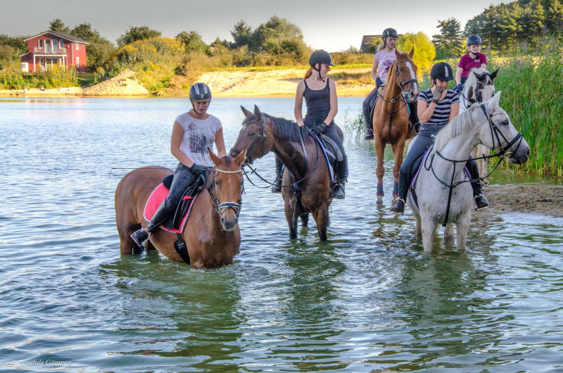 Ferienpark Geesthof Niedersachsen - Hechthausen visuel 4/4