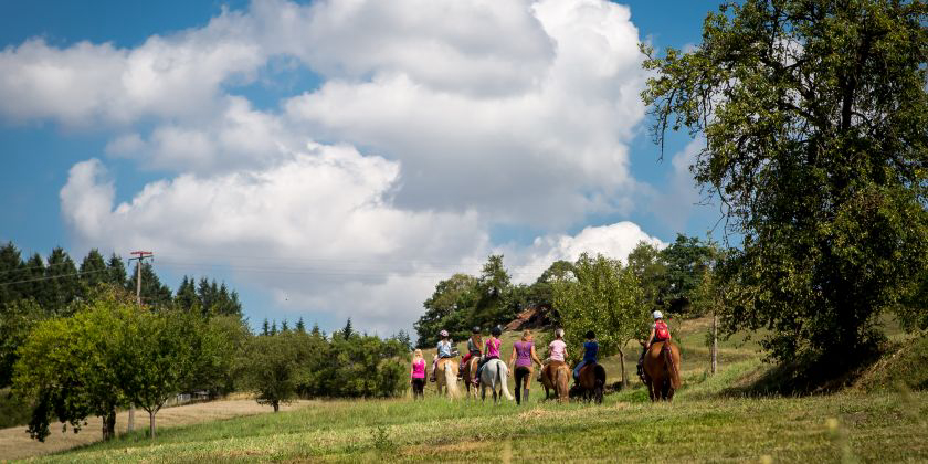 Ferienpark Teichmann Hessen - Vöhl visuel 4/5