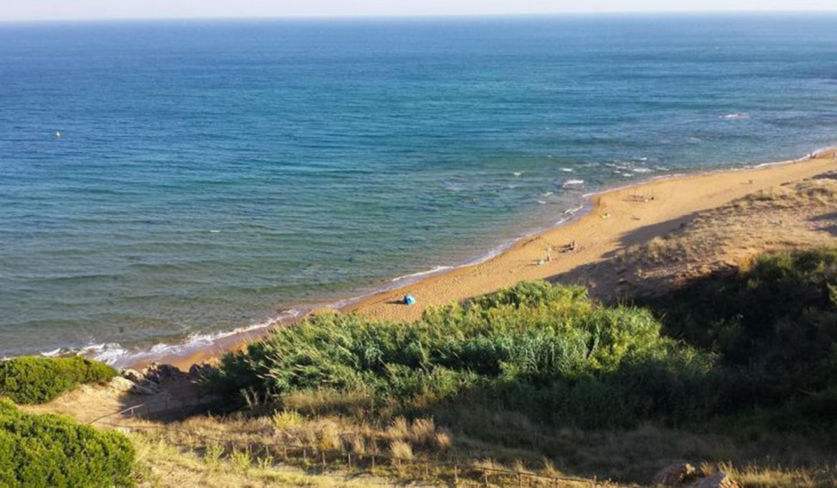 Fico d'India Kalabrien - Crotone visuel 1/1