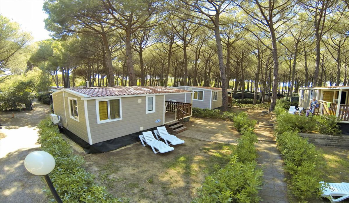 Free Beach Toskana - Marina di Bibbona visuel 5/8