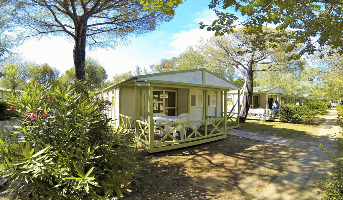 Free Beach Toskana - Marina di Bibbona visuel 4/8