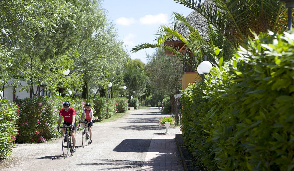 Free Time Toskana - Marina di Bibbona visuel 4/13