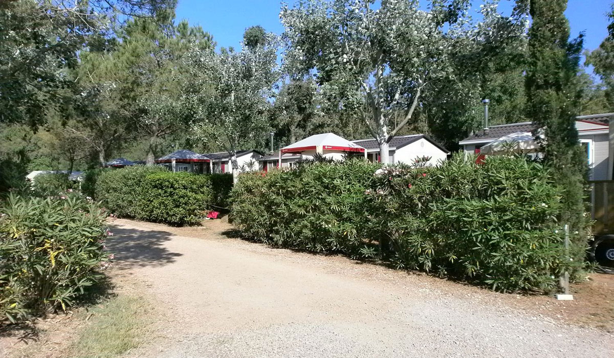 Free Time Toskana - Marina di Bibbona visuel 11/13