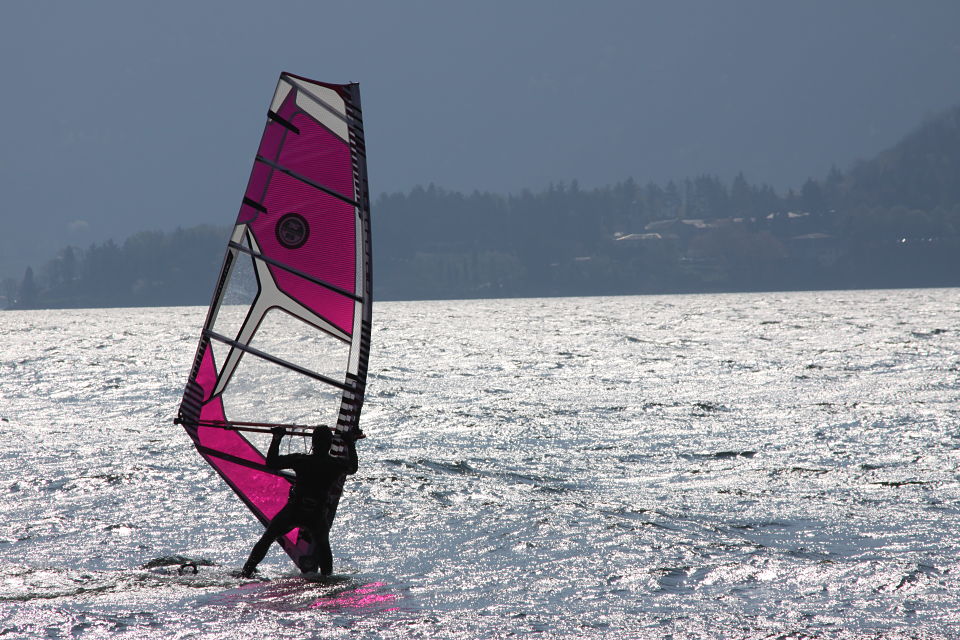 Gardenia Lombardei - Domaso visuel 2/5