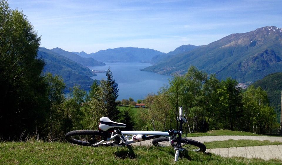 Gardenia Lombardei - Domaso visuel 3/5