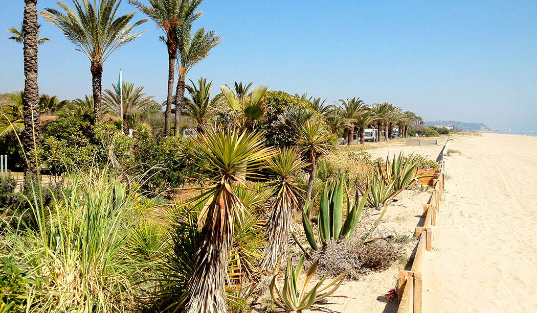 Gavina Costa Dorada - Creixell visuel 7/18 Gavina Costa Dorada - Creixell visuel 7/18