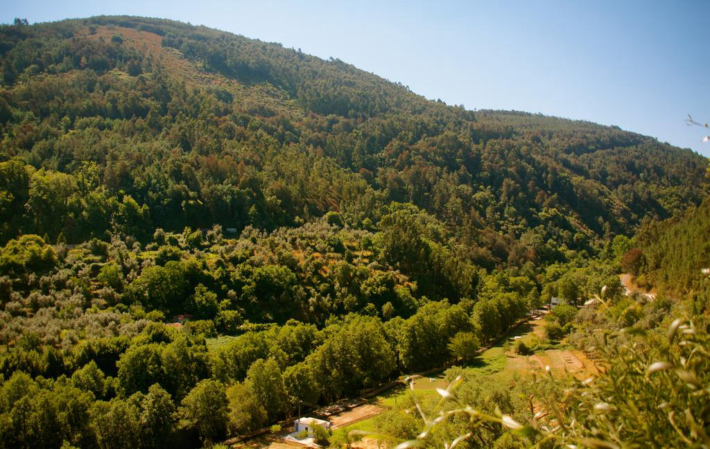 Góis Camping Centro - Góis visuel 4/4