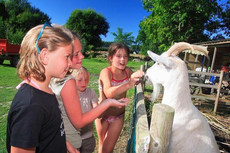 Haliotis Basse-Normandie - Pontorson visuel 3/14 Haliotis Basse-Normandie - Pontorson visuel 3/14