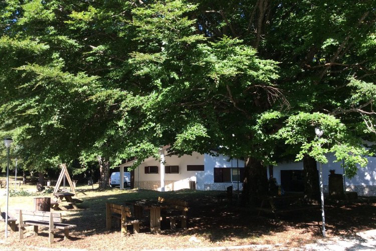 Il Ceppo Abruzzen - Teramo visuel 6/6