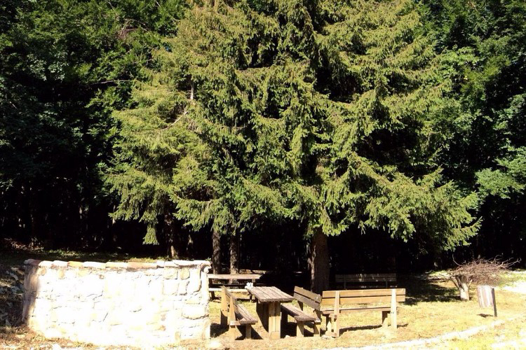 Il Ceppo Abruzzen - Teramo visuel 5/6