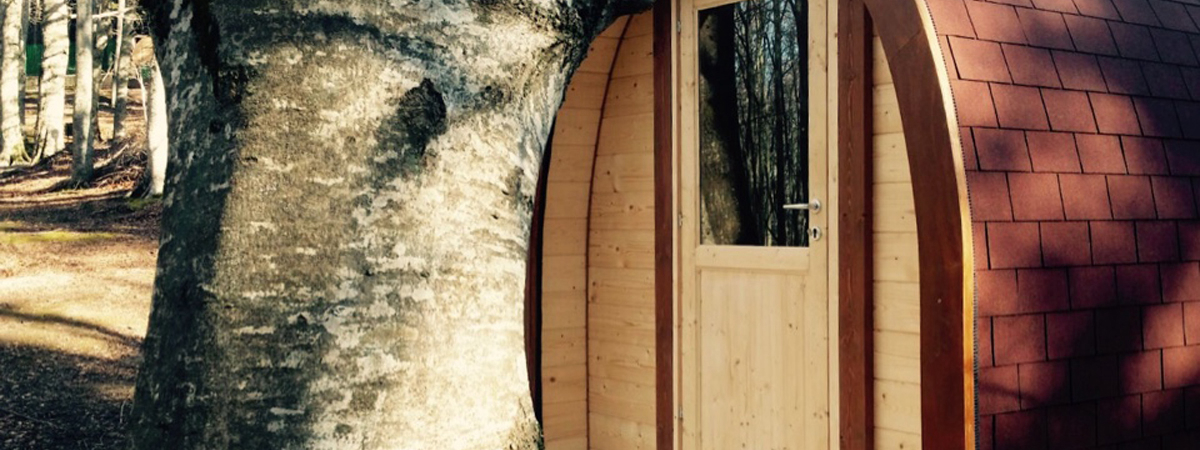 Il Ceppo Abruzzen - Teramo visuel 1/6