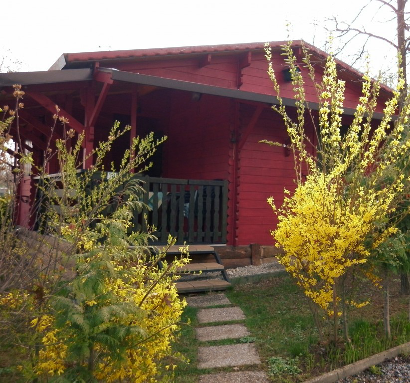 Il Melo Piemont - Peveragno visuel 3/4 Il Melo Piemont - Peveragno visuel 3/4