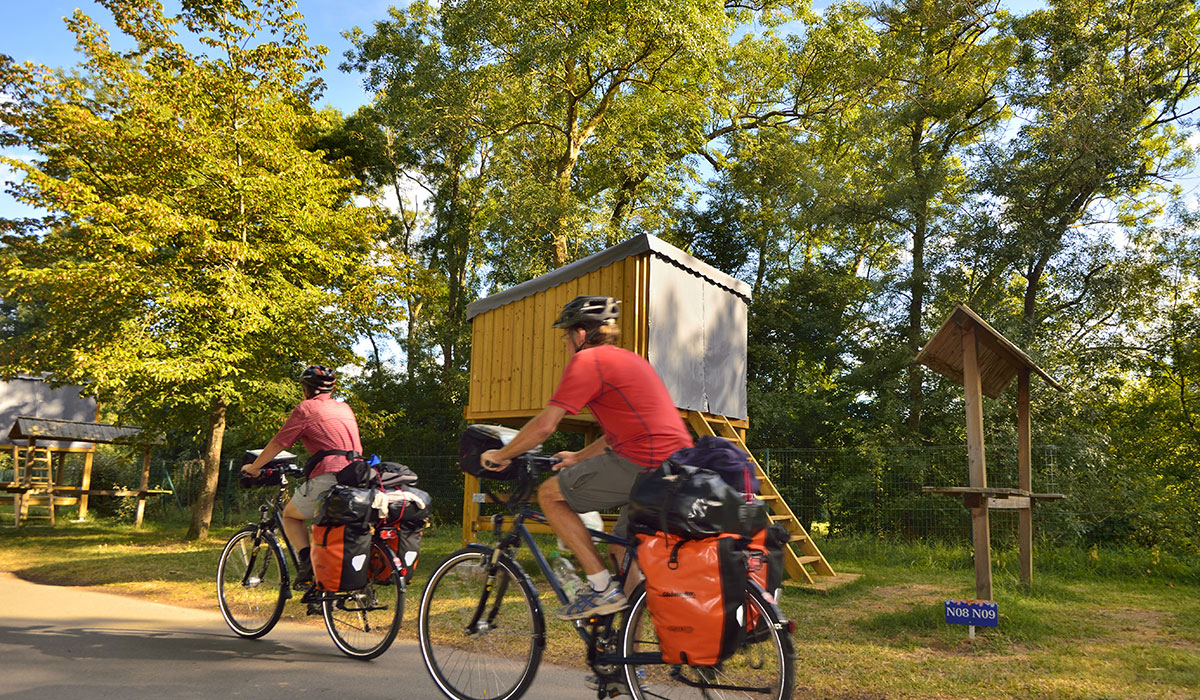 Ile d'Offard Das Loire-Gebiet - Saumur visuel 8/22 Ile d'Offard Das Loire-Gebiet - Saumur visuel 8/22