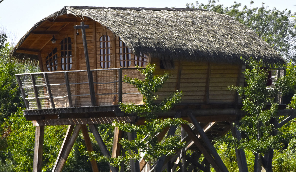 International de Maisons-Laffitte Ile de France - Maisons-Laffitte visuel 22/25 International de Maisons-Laffitte Ile de France - Maisons-Laffitte visuel 22/25