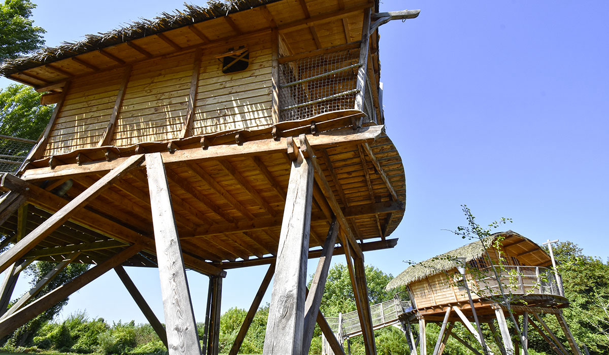 International de Maisons-Laffitte Ile de France - Maisons-Laffitte visuel 8/25 International de Maisons-Laffitte Ile de France - Maisons-Laffitte visuel 8/25