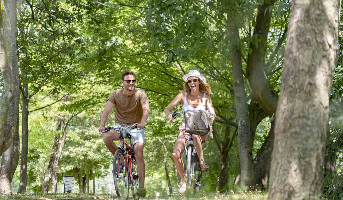 International de Maisons-Laffitte Ile de France - Maisons-Laffitte visuel 15/25 International de Maisons-Laffitte Ile de France - Maisons-Laffitte visuel 15/25