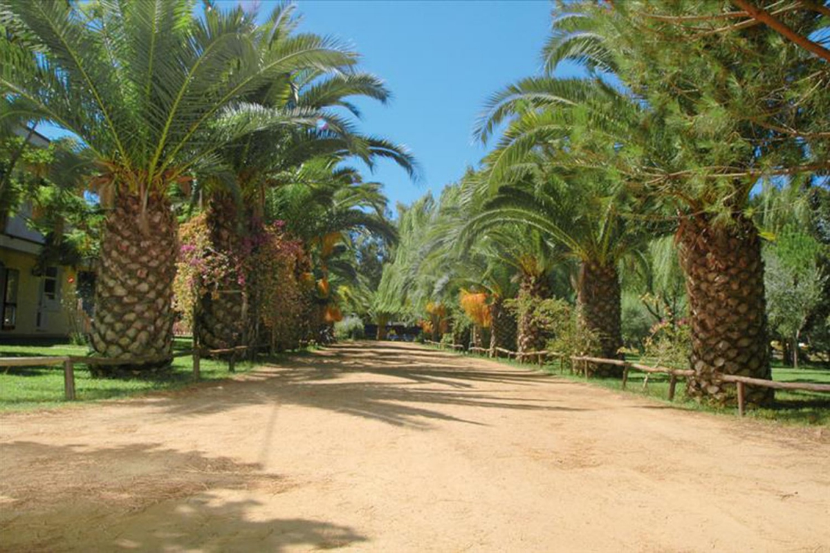 Iscrixedda Sardinien - Lotzorai visuel 8/8