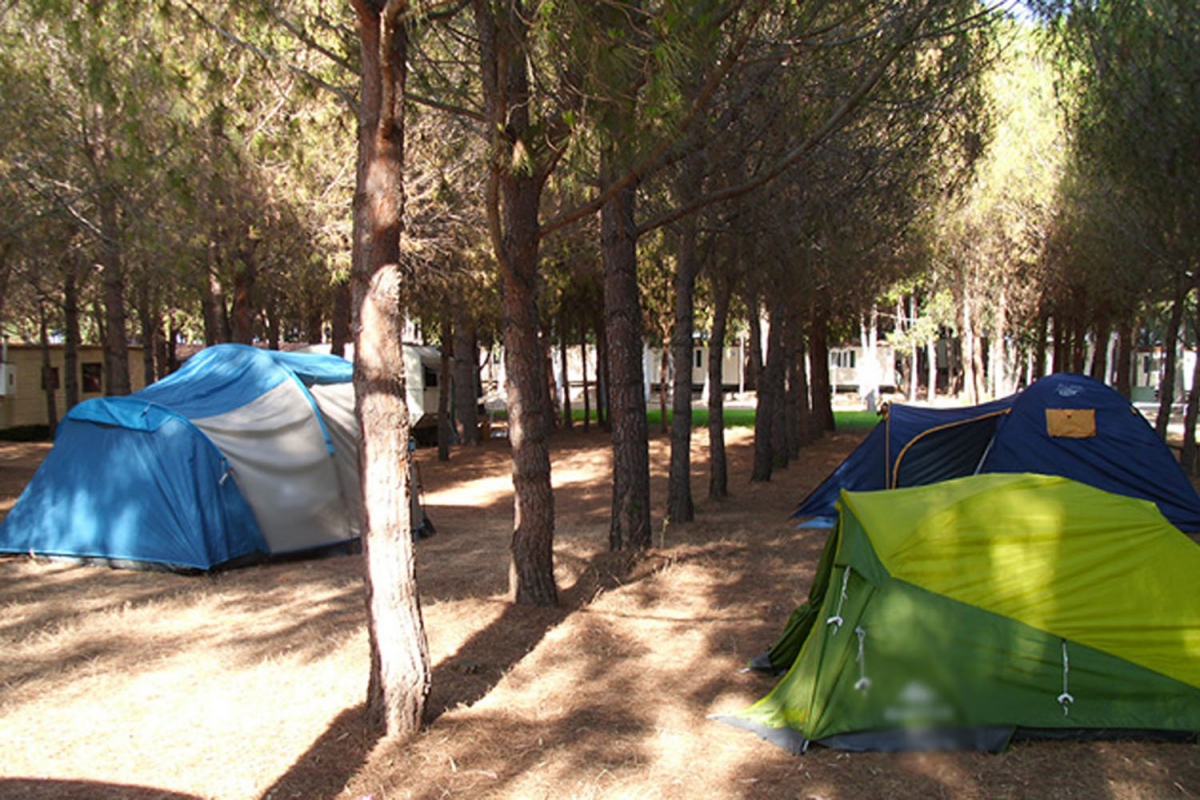 Iscrixedda Sardinien - Lotzorai visuel 6/8