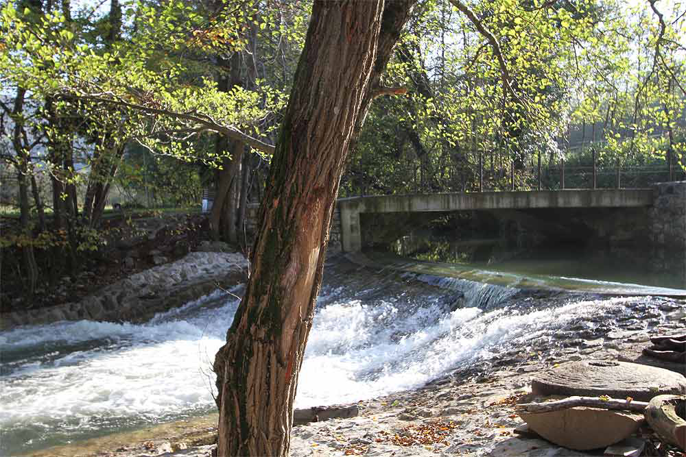 Kamp Dujceva Domacija Slowenisch Istrien - Divača visuel 3/3