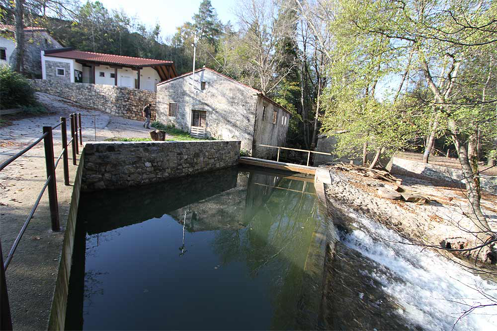 Kamp Dujceva Domacija Slowenisch Istrien - Divača visuel 2/3