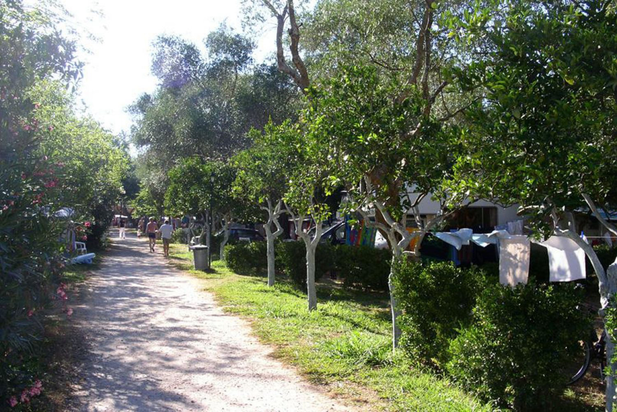 Karda Beach Ionische Inseln - Corfou visuel 11/17