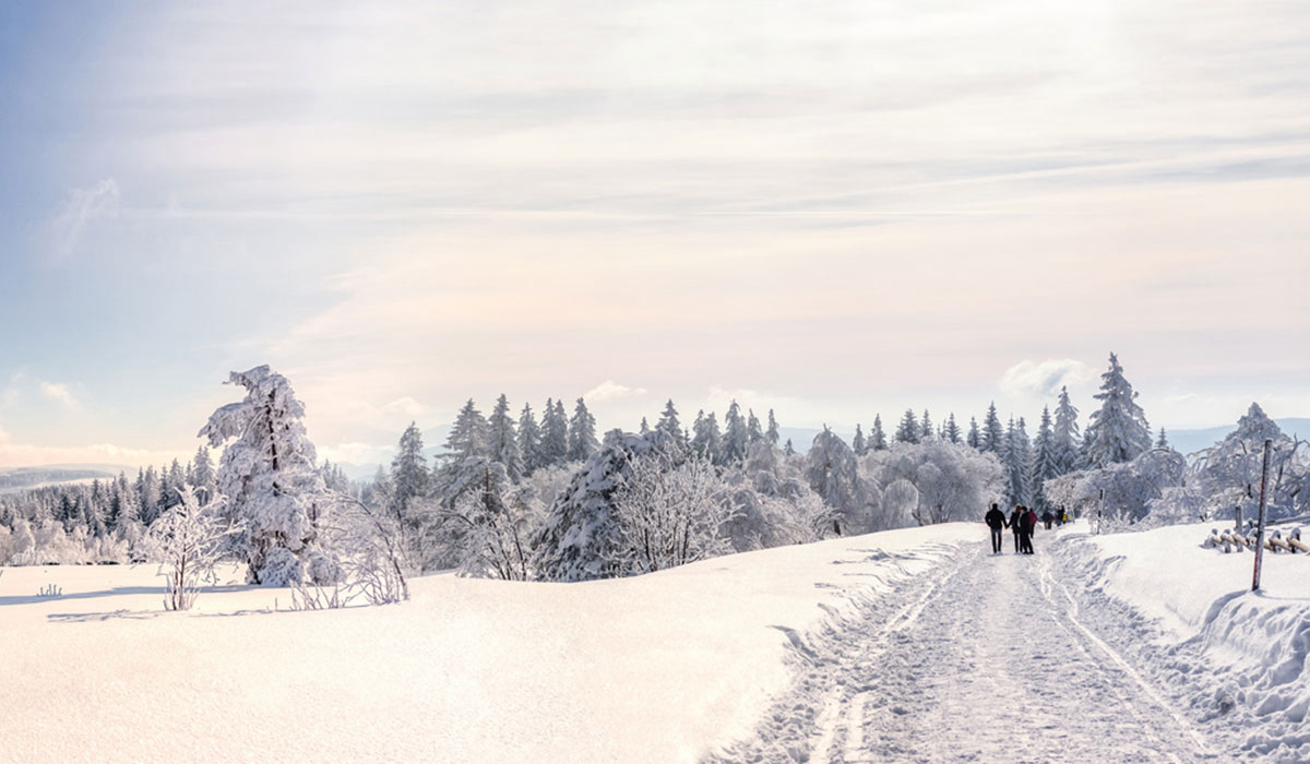 Kinzigtal Baden-Württemberg - steinach visuel 3/4